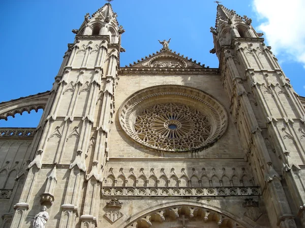 stock image Palma cathedral