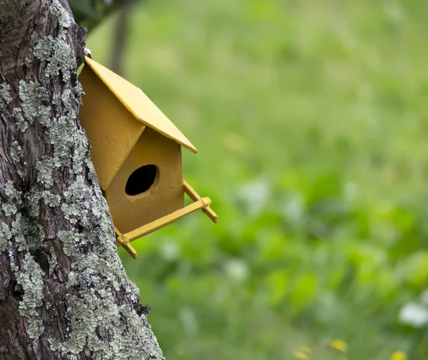 Kleurrijke birdhouse — Stockfoto