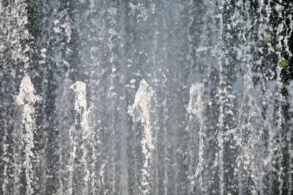 stock image Fountain sprays water