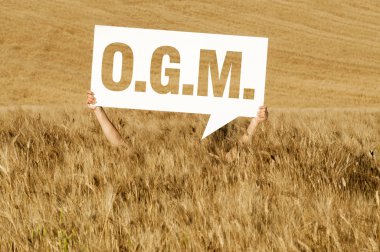 Cornfiled O.G.M. clipart