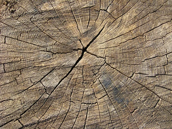 Drewniane ciemnym tle — Zdjęcie stockowe