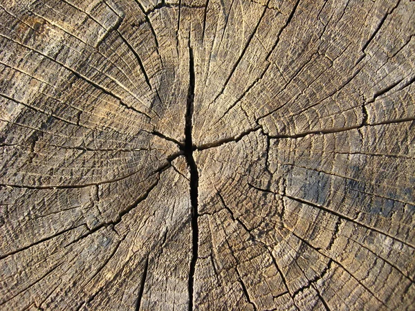 木製の暗い背景 — ストック写真