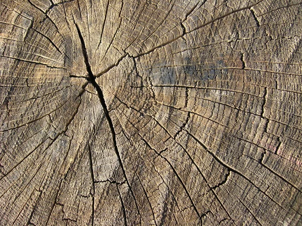 Fondo oscuro de madera — Foto de Stock