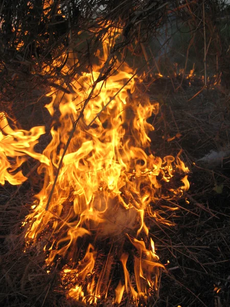 Огонь в поле — стоковое фото