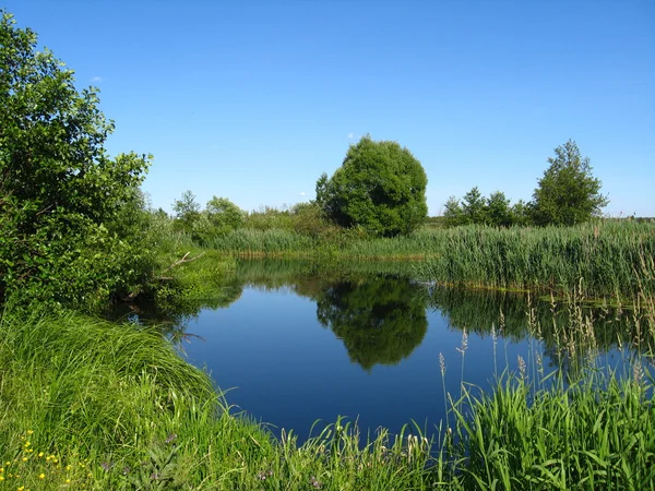 Det vakre sommerlandskapet med elv – stockfoto