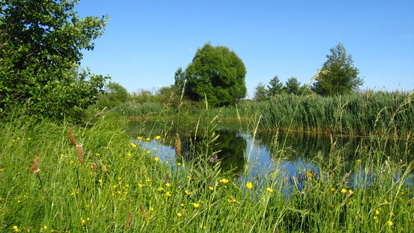 Piękne lato pejzaż z rzeką — Zdjęcie stockowe