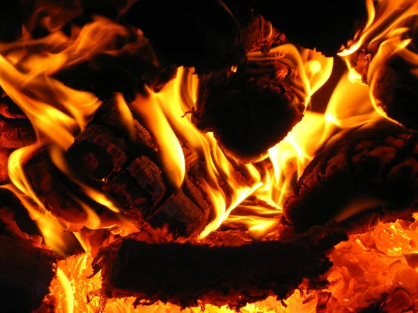 Leña de fuego en el horno — Foto de Stock