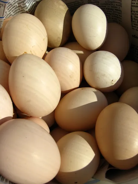 Muchos huevos de gallina — Foto de Stock