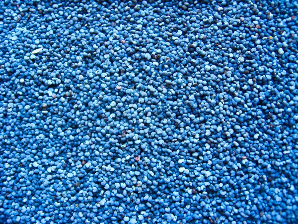 Fundo azul de grãos de uma papoula — Fotografia de Stock