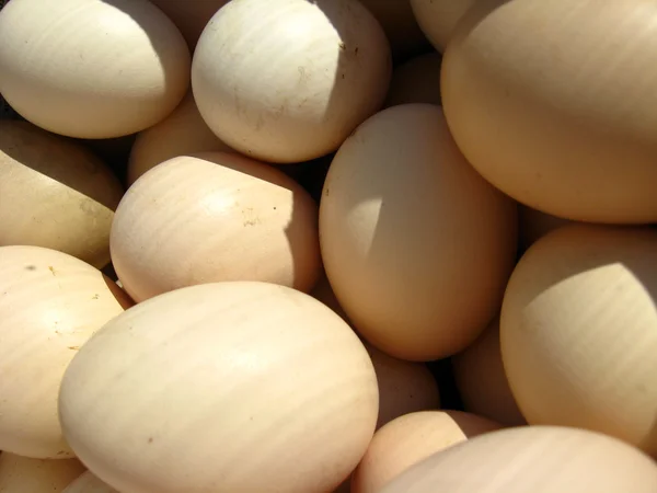 Πολλά αυγά της κότας — Φωτογραφία Αρχείου