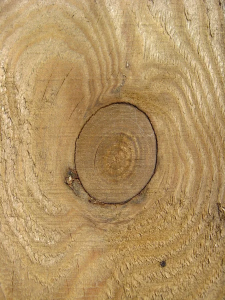 Візерунок на зрізі дерева — стокове фото