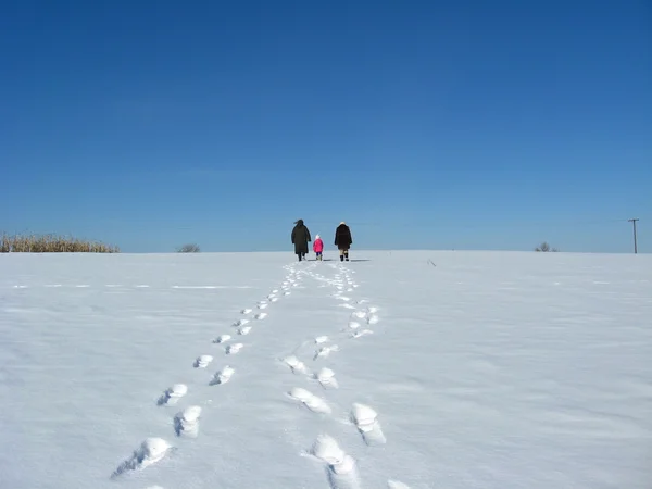Вихід і сліди на снігу — стокове фото