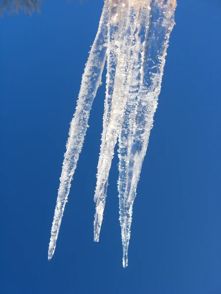 Arka plan mavi gökyüzünün buz sarkıtları — Stok fotoğraf