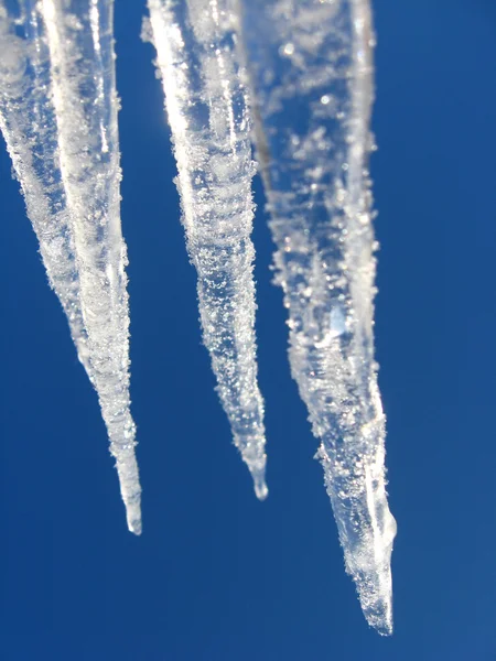Icicles on a background of the blue sky — Stock Photo, Image