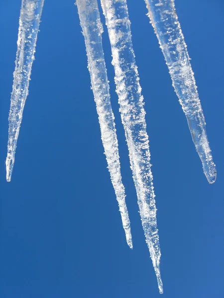 Icículos sobre un fondo del cielo azul —  Fotos de Stock