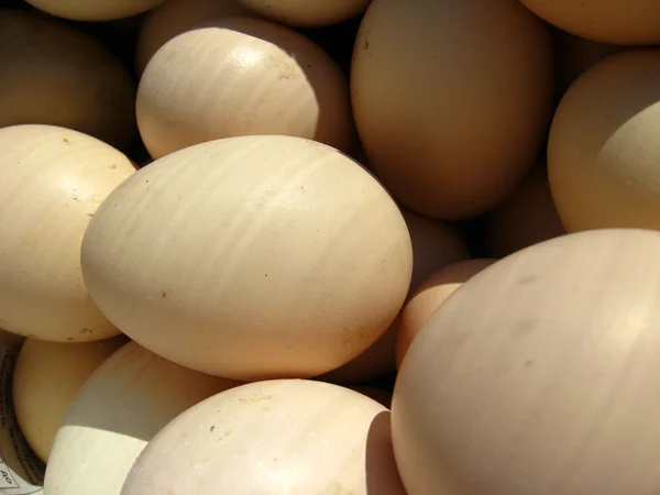 A lot of eggs of the hen — Stock Photo, Image