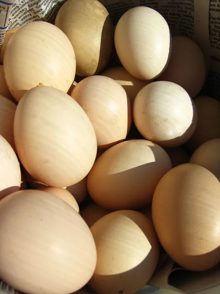 Багато яєць курки — стокове фото