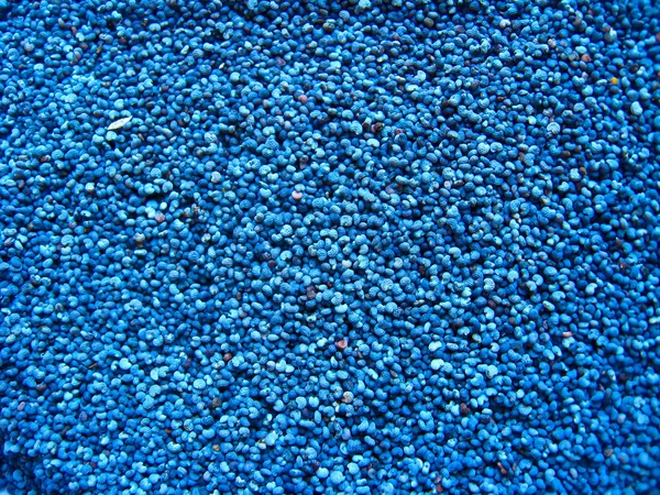 Grains of the blue poppy — Stock Photo, Image