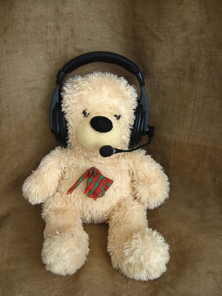 Stock image Toy bear in headphones