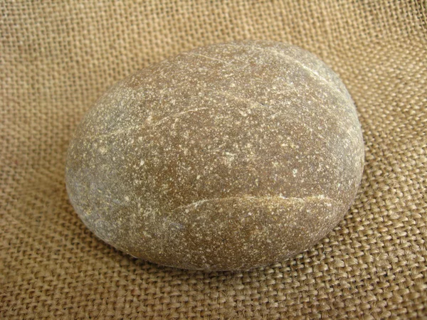 Θαλάσσια πέτρα σε καφέ φόντο — Φωτογραφία Αρχείου