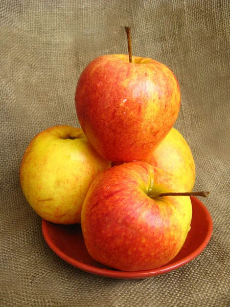 Четыре хороших яблока на тарелке — стоковое фото