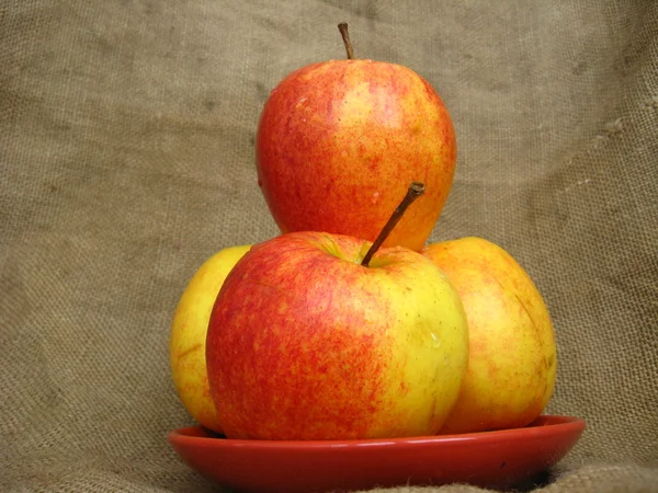Vier schöne Äpfel auf dem Teller — Stockfoto