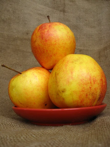 Plaka üzerinde dört güzel elma — Stok fotoğraf