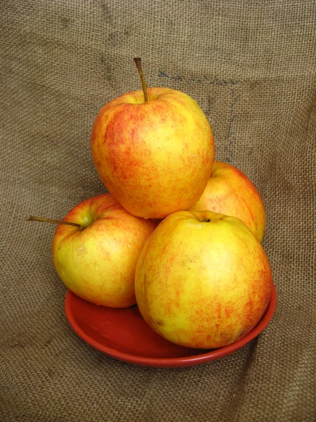 Vier schöne Äpfel auf dem Teller — Stockfoto