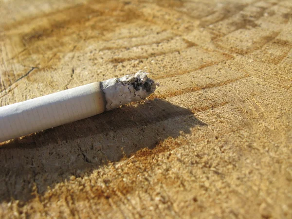 Bild einer qualmenden Zigarette, die auf einem Baum liegt — Stockfoto