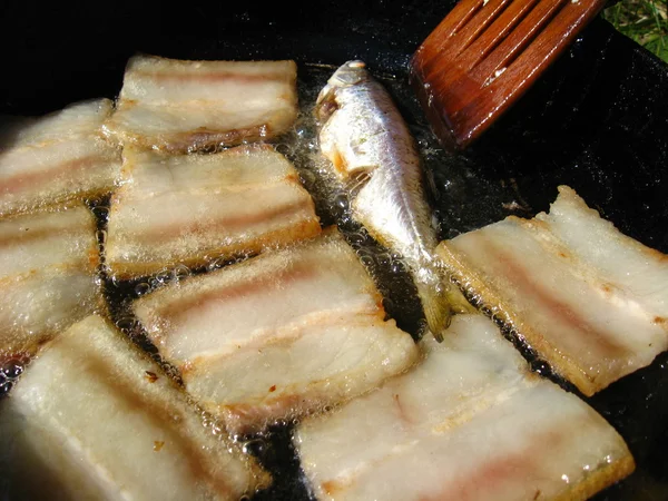 Вкусный жареный бекон на сковороде — стоковое фото