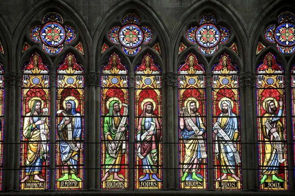 Stock image Troyes - Cathedral