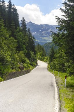 Passo Gavia