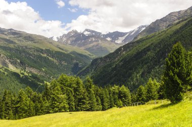 Passo Gavia