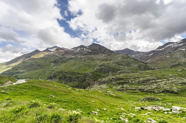 stock image Passo Gavia