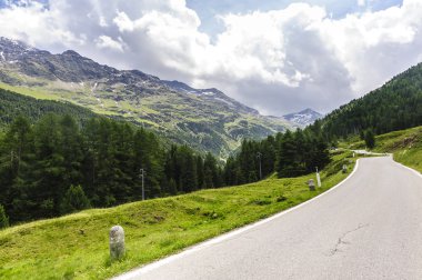 Passo Gavia