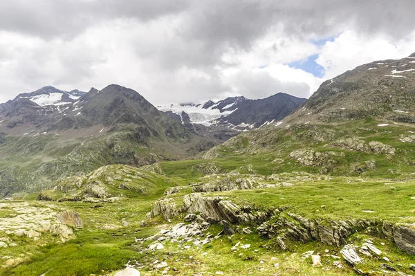 stock image Passo Gavia