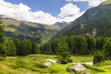 Passo Gavia