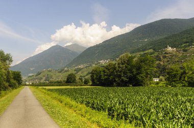 Valtellina, döngüsü lane