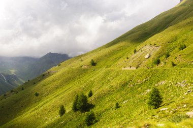 Passo Gavia