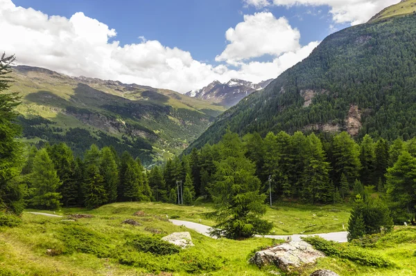 stock image Passo Gavia