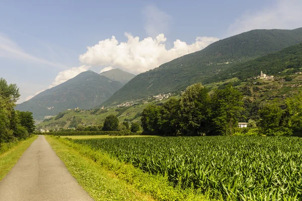 Valtellina, Radweg — Stockfoto