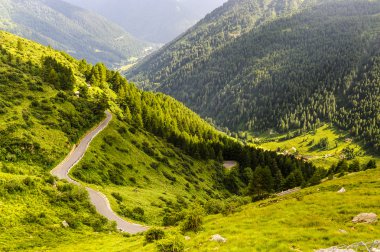 Passo Gavia