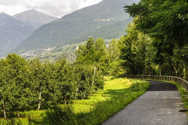 Valtellina, ciclovia — Fotografia de Stock