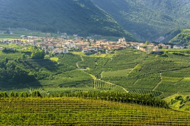 Val di Non (Trento)