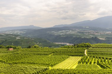 Val di Non (Trento)