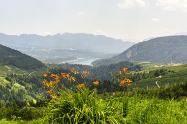 Val di Non (Trento)