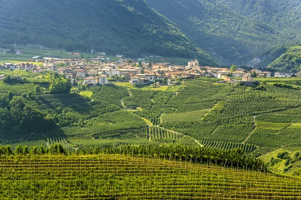 Val di Non (Trento) — Stockfoto