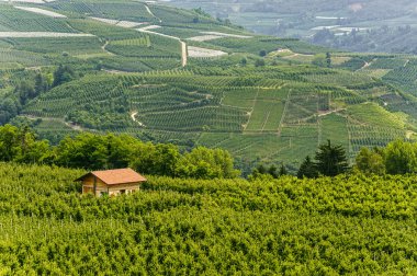 Val di Non (Trento)