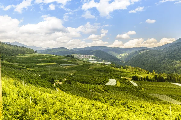 Stock image Val di Non (Trento)