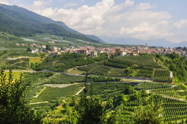 Val di Non (Trento)